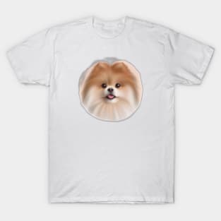 Cute Pomeranian Drawing T-Shirt